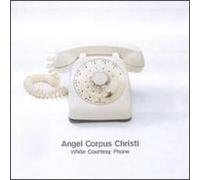 White Courtesy Phone