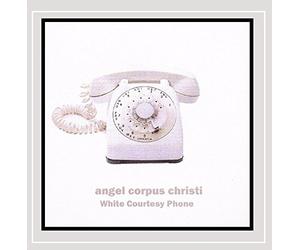 White Courtesy Phone