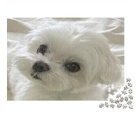 White Dog Closeup 1000 Piece for Adults Women: Fluffy White Teddy Bear Fun and Challenging Family Game & Gift 70x50cm/1000pcs