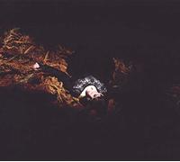 Victorian america CD