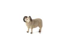 White Face Curly Horn Sheep (Ram) By Mojo