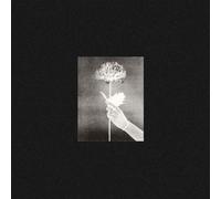 White Flowers Day By Day (Vinyl) 12" Album