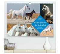 White Horses in Splendor (High Quality Premium Wall Calendar 2026 DIN A2 landscape),CALVENDO 12 Month Wall Calendar: Snow-white splendor - a symbol of purity