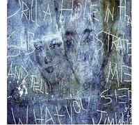 White,Jim - Drill a Hole in That [Import]