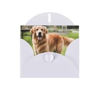 White JKIEGOQ Carte de vœux Motif golden retriever 10,2 x 15,2 cm pour Noël, Saint-Valentin, mariage, fête
