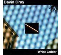 White Ladder