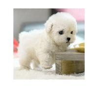 (White)My Realistic Robot Puppy Electronic Interactive Pet Dog Cute Gifts Toys for Girls Kids