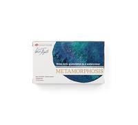 White Nights Nevskaya Palitra Édition limitée Granulation Metamorphoses Aquarelle Collection de peintures professionnelles de qualité artistique Couleurs vives résistantes à la lumière (boîtier