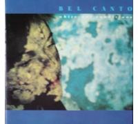 White-Out Conditions