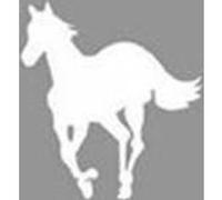 White pony