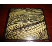 White Rabbit Dynamite - Psi