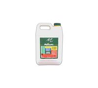 WHITE SPIRIT SANS ODEUR 5L MIEUXA