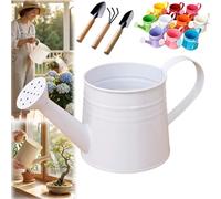 White Watering Can Metal, 1L Vintage Galvanized Sprinkler Can, Rustproof & Leak-Resistant, Ideal for Indoor & Outdoor Plants, Lawn, Garden - Durable Gardening Tool for Home & Office (White)