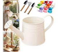 White Watering Can Metal, 1L Vintage Galvanized Sprinkler Can, Rustproof & Leak-Resistant, Ideal for Indoor & Outdoor Plants, Lawn, Garden - Durable Gardening Tool for Home & Office (Cream)