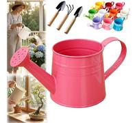 White Watering Can Metal, 1L Vintage Galvanized Sprinkler Can, Rustproof & Leak-Resistant, Ideal for Indoor & Outdoor Plants, Lawn, Garden - Durable Gardening Tool for Home & Office (Rose Red)