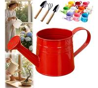 White Watering Can Metal, 1L Vintage Galvanized Sprinkler Can, Rustproof & Leak-Resistant, Ideal for Indoor & Outdoor Plants, Lawn, Garden - Durable Gardening Tool for Home & Office (Red)
