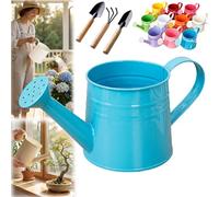 White Watering Can Metal, 1L Vintage Galvanized Sprinkler Can, Rustproof & Leak-Resistant, Ideal for Indoor & Outdoor Plants, Lawn, Garden - Durable Gardening Tool for Home & Office (Blue)