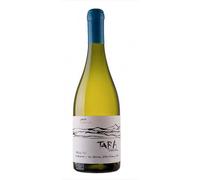 White Wine N°3 - Sauvignon Blanc 2022 - Tara