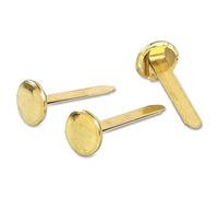 Whitecroft Essentials Attaches Parisiennes valeur 25 mm-Lot de 500