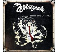 Little Box O Snakes : The Sunburst Years 1978-1982