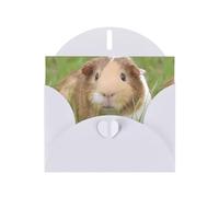 WHJDPP Carte de vœux blanche avec imprimé cochon d'Inde mignon 10,2 x 15,2 cm pour Noël, anniversaire d'enfant, Saint-Valentin, anniversaire de mariage et invitations de fête