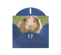 WHJDPP Carte de vœux bleue avec imprimé cochon d'Inde mignon 10,2 x 15,2 cm pour Noël, anniversaire d'enfant, Saint-Valentin, anniversaire de mariage et invitations de fête