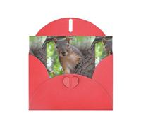 WHJDPP Carte de vœux rouge avec imprimé écureuil dans l'arbre - 10,2 x 15,2 cm - Pour Noël, anniversaire d'enfant, Saint-Valentin, anniversaire de mariage et invitations de fête