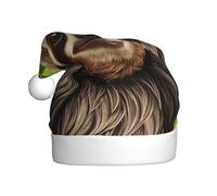 WHJDPP Cute Sloth Picture Chapeau de Noël en peluche pour homme et femme