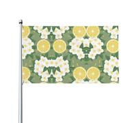 WHJDPP Drapeau de décoration d'extérieur Fresh Lemon Prints 0,9 x 1,5 m - Bannière en polyester durable pour cour, terrasse, porche et présentations festives - Couleurs vives et installation facile