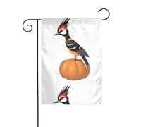 WHJDPP Drapeaux de jardin imprimés pivert sur une citrouille 30,5 x 45,7 cm pour décoration de cour avec 3 cm de largeur (drapeau uniquement, mât non inclus)
