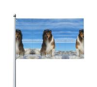 WHJDPP Joli drapeau de décoration d'extérieur avec imprimé chien shetland 0,9 x 1,5 m - Bannière en polyester durable pour cour, terrasse, porche et présentations festives - Couleurs vives et
