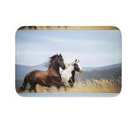 WHJDPP Lock Edge Tapis de sol 101,6 x 152,4 cm Motif chevaux en cours d'exécution Art Picture absorbant l'eau et antidérapant doux et confortable pour salle de bain et cuisine
