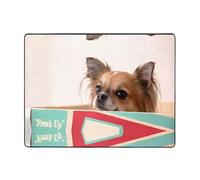 WHJDPP Papillon in the Box Prints Tapis antidérapant en flanelle pour salon, bureau et chambre à coucher 160 x 121,9 cm