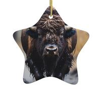 WHJDPP Pendentif en forme d'étoile en céramique Motif bison d'Amérique du Nord Maisons, centres commerciaux, supermarchés et magasins