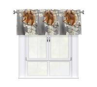 WHJDPP Rideau imprimé écureuils au printemps avec tringle courte, 137,2 x 45,7 cm pour la plupart des tringles à rideaux standard ou décoratives, pour cuisines, salles de bains, buanderies