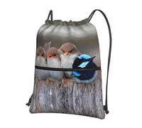 WHJDPP Sac à dos à cordon de serrage imprimé quatre oiseaux - Sac de sport léger et imperméable avec poche zippée - Gym, voyage, yoga et randonnée