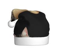 WHJHBD Chaton paresseux couché sur un oreiller imprimé hommes et femmes chapeaux de Noël en peluche pour adultes Nouvel An fêtes