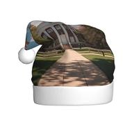 WHJSHOP Beau chapeau de Noël imprimé campus pour adulte, ce qui en fait un cadeau amusant et durable pour homme et femme
