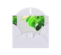 WHJSHOP Carte de vœux imprimée feuilles de bananier sous la lumière - Papier nacré de qualité supérieure, effet perle double face, enveloppe en papier perlé avec boucle d'amour