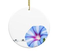 WHJSHOP Décoration circulaire en céramique avec motif de gloire du matin - 7,4 cm