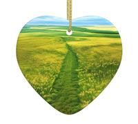 WHJSHOP Grassland Chemins Imprimés Noël Céramique Amour Pendentif Décoration Intérieur Festival Cadeau