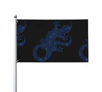 WHJSHOP Illustration gecko Prints Drapeau de décoration extérieure 0,9 x 1,5 m - Couvre-lit en polyester vif pour cour, terrasse et célébrations festives