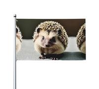 WHJSHOP Jolis drapeaux de décoration d'extérieur avec imprimé hérisson - 0,9 x 1,5 m - Bannière en polyester vif pour cour, terrasse, fête et plus encore