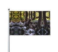 WHJSHOP Rge and Small Black Bear Prints Drapeau décoratif d'extérieur en polyester pour cour, terrasse et célébrations festives 0,9 x 1,5 m