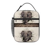 WHJSHOP Sac à déjeuner isotherme portable avec imprimé éléphant à paroi brisée - Convient pour les étudiants au travail et aux voyages