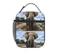 WHJSHOP Sac à déjeuner isotherme portable et portable avec impression d'animaux sauvages africains et éléphants - Convient pour les étudiants au travail et aux voyages
