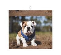 WHJSHOP Tapis de cuisine absorbant en microfibre super absorbante Motif bouledogues anglais