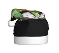 WHJSSF Chapeau de Noël avec image de petite tortue sur la pierre pour adulte, ce qui en fait un cadeau amusant et durable pour homme et femme