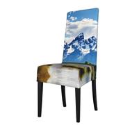 WHJSSF Grand Teton Housse de protection pour chaise de salle à manger Motif parc national - Doux, confortable, infroissable, élastique, s'adapte à la plupart des chaises sans accoudoirs