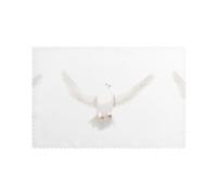 WHJSSF Lot de 6 sets de table blancs avec motif colombe déployant ses ailes pour table de salle à manger pour la maison et les banquets, faciles à nettoyer à température ambiante pour une utilisation
